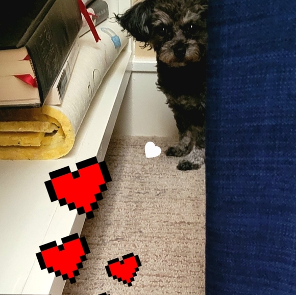 I donate to causes for children & women, gift unwanted & no Posh Shows - Picture 3 of 8